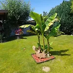 Im Spreewald Prázdninový dům