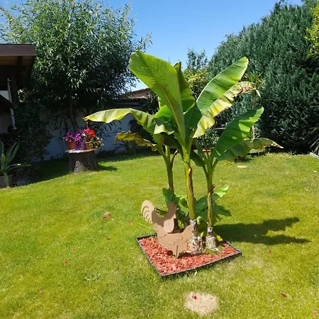 Im Spreewald 度假居