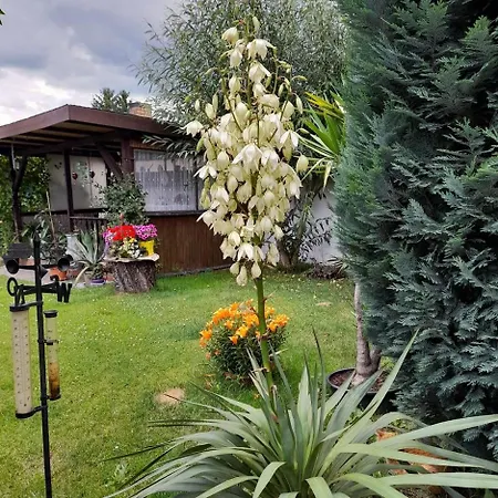 Im Spreewald *