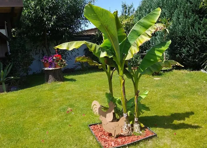 Im Spreewald Сasa de vacaciones